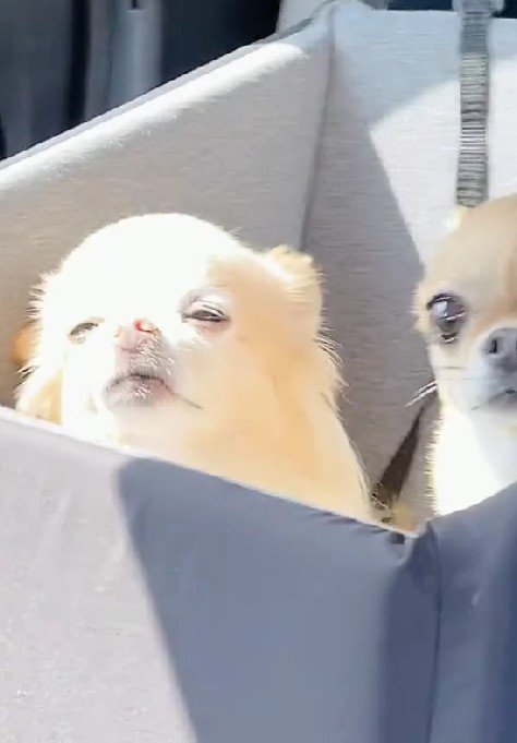 とっても気持ちよさそう♪