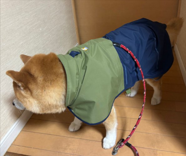 服見知り