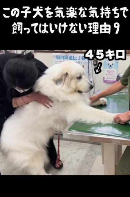 大きくなっても怖がりさん！！