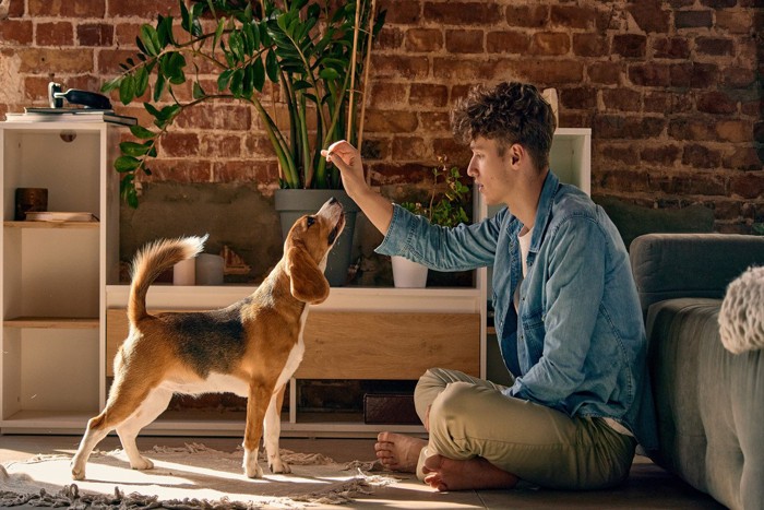 男性と犬