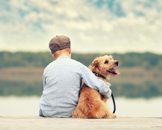 犬と帽子をかぶった子供