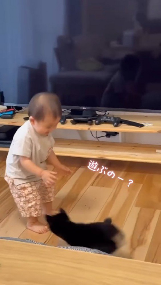 男の子にむかって走っていく子犬