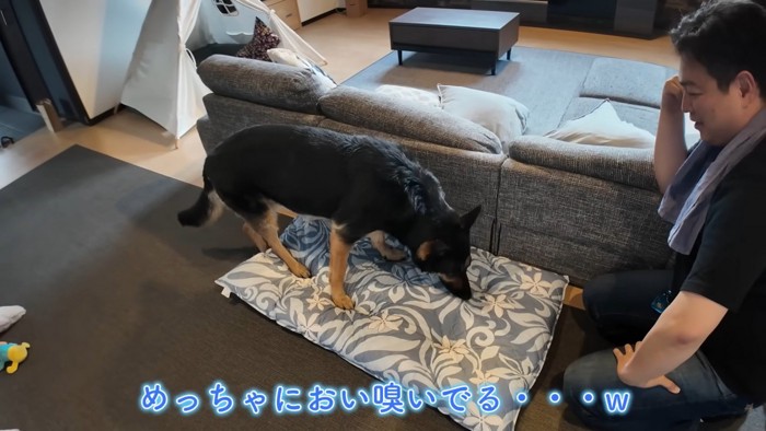 「やだ～、パパの匂いついちゃった…」
