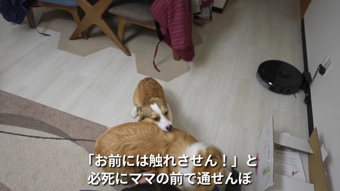 「来るな！」