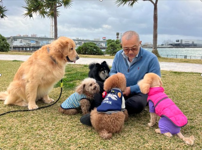 大型犬