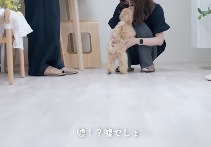 トリミングされた犬を見て驚きの声をあげる飼い主