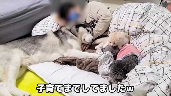 幸せ溢れる光景♡