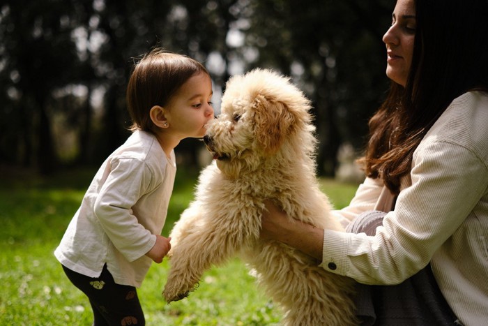 犬にキスする子ども