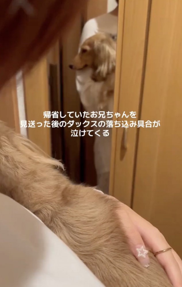 帰っちゃった…