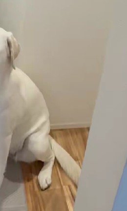仕事へ行こうとしたら…