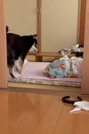 布団をこすりすぎてしまい…