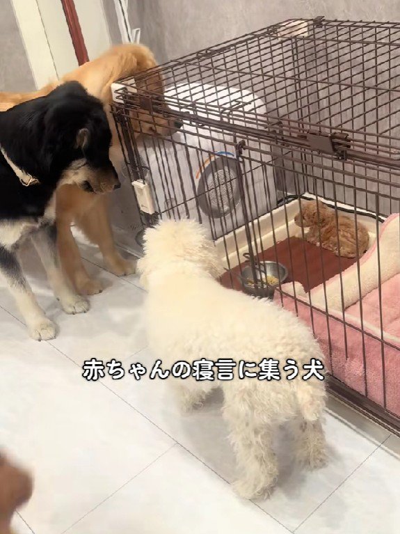 大きな声で本人も起床