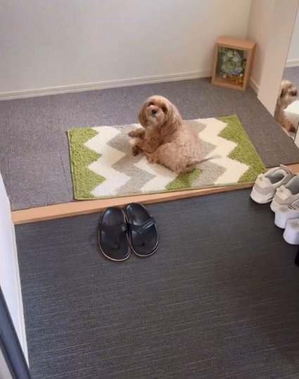 動かないニコちゃん