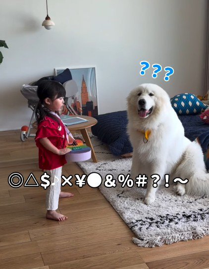 観客になるとと丸ちゃん