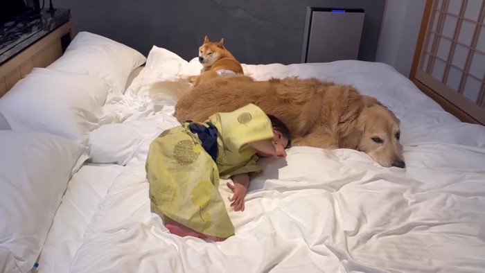 ほのちゃんも眠くなったみたい