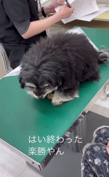 余裕をかまして検温終了
