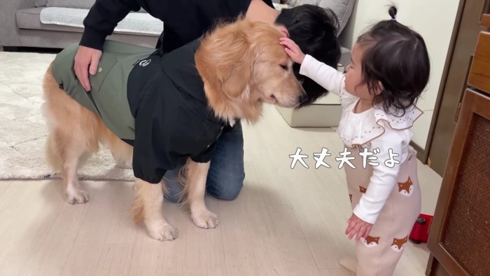 「大丈夫だよ」