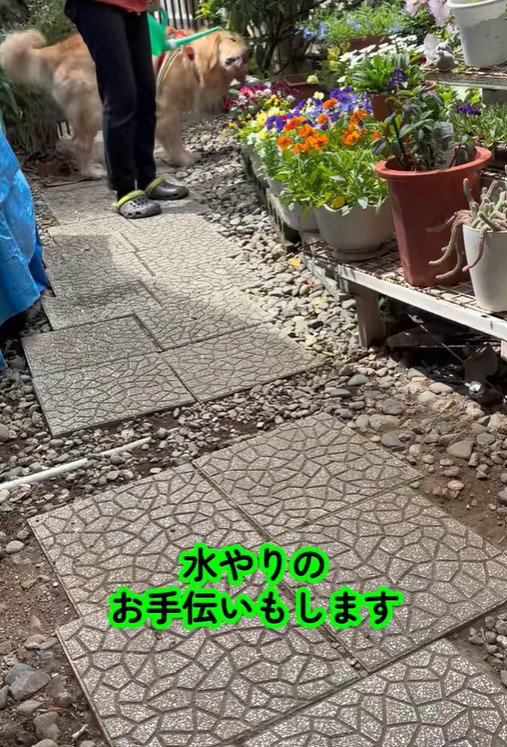 お花の代わりに水分補給♪