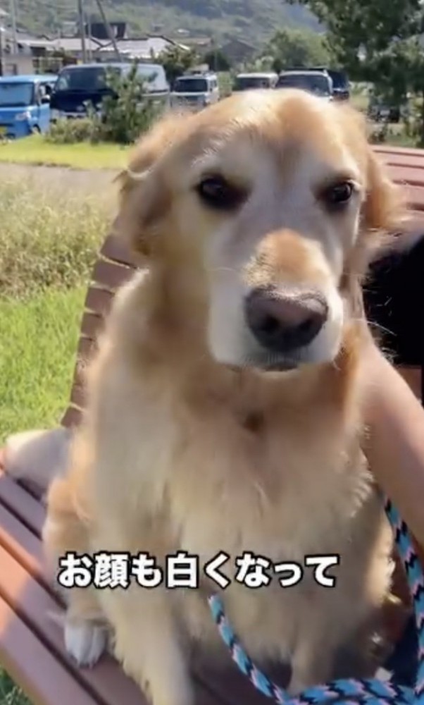 お顔も白く