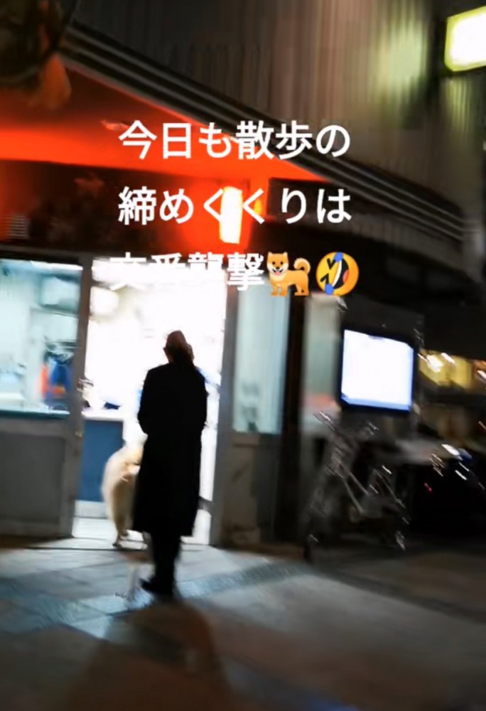 交番に向かう秋田犬