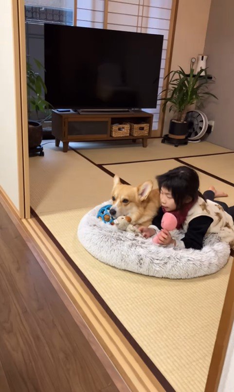 仲良しなジノくんとお姉ちゃん