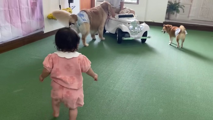 ミニカーを発見！