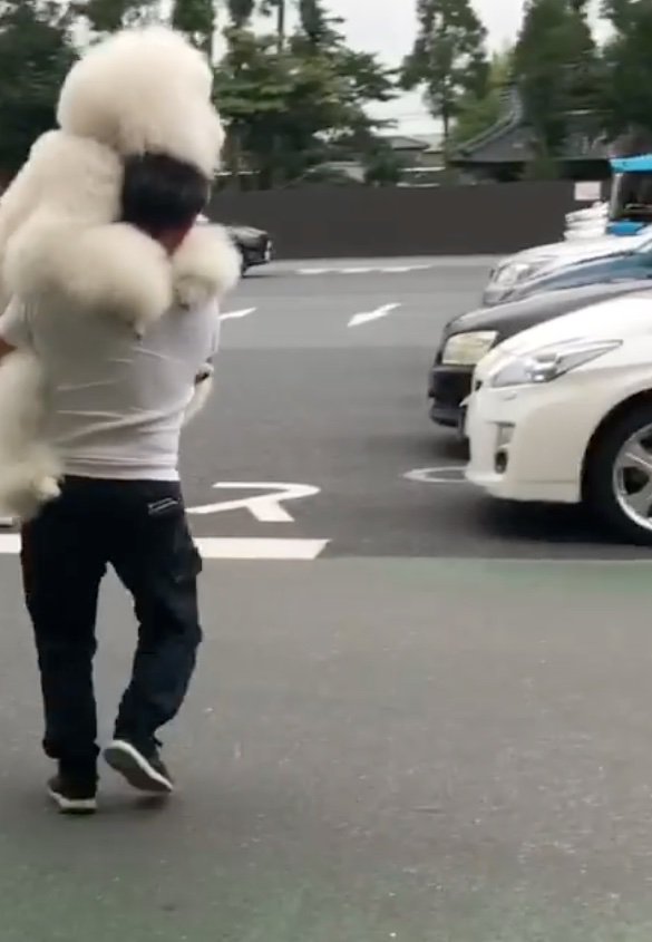 犬を抱っこするパパ