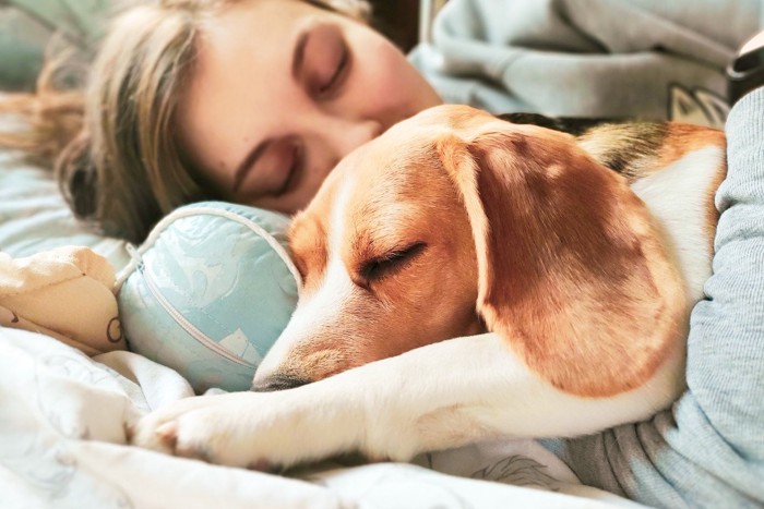 女性と眠る犬