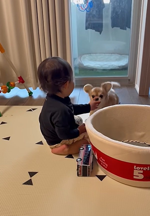 優しいハナちゃん