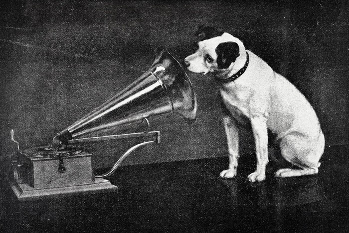 ビクター犬
