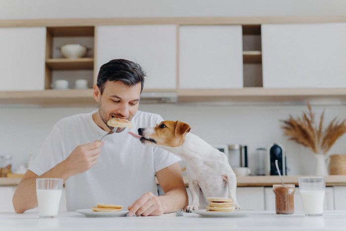 パンケーキを食べる人と犬