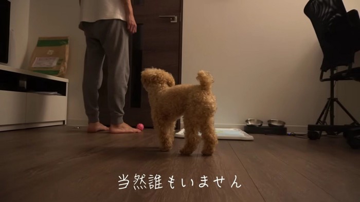 「誰かいるの…？」