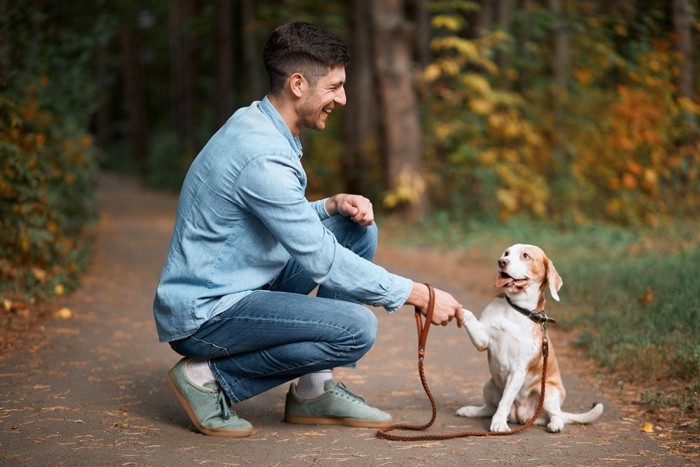 男性と握手する犬