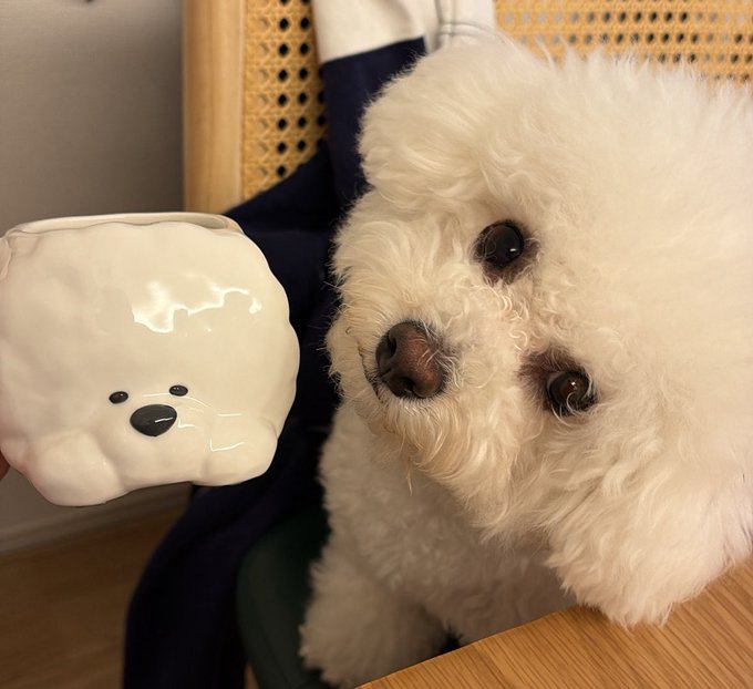 マグカップと犬