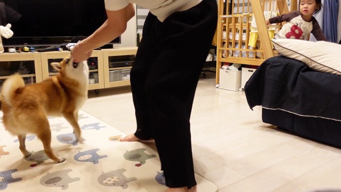 引っ張り合いをしたら…