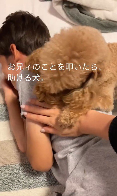 家族を叩くフリをした時のカブ子ちゃん5