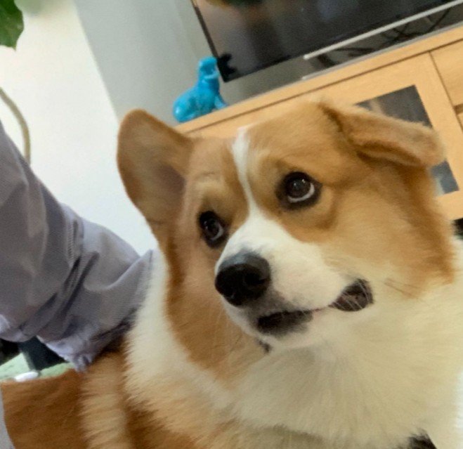 「なにこの状況……」