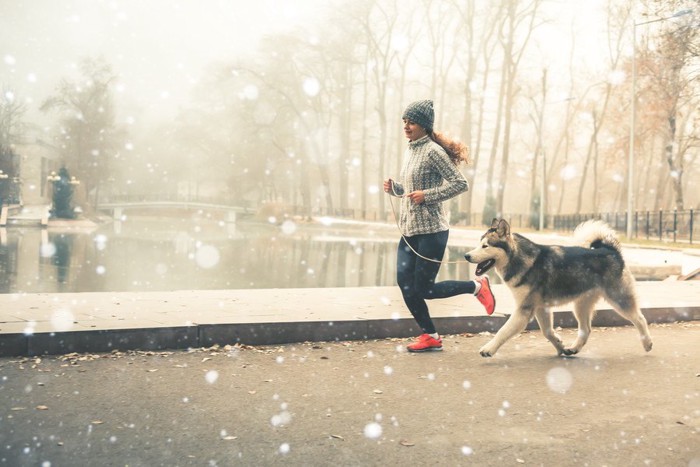 ランニングする犬と女性