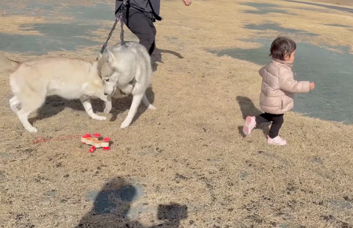 おもちゃの犬のリードを放して走り出す女の子