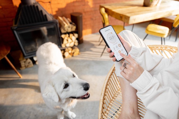 白い大型犬とスマホで室温調整する女性