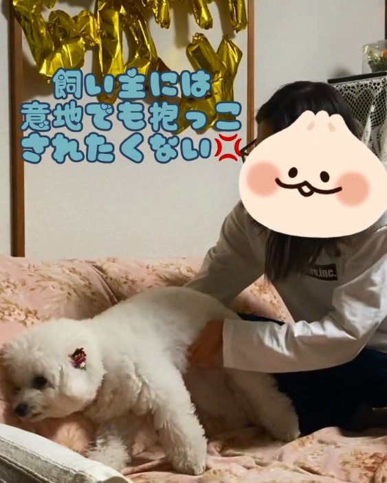 断固拒否のもこちゃん