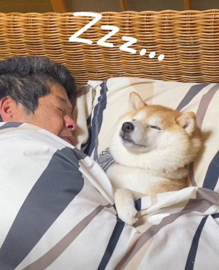 やっと眠れました♡