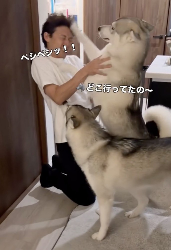 全身で喜ぶロロさん
