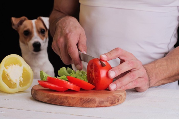 料理を後ろから見る犬