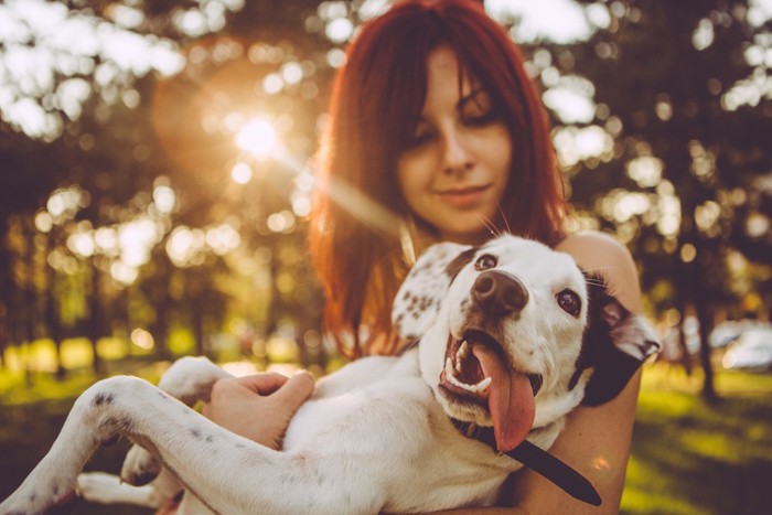 散歩中に女性に抱っこされる犬