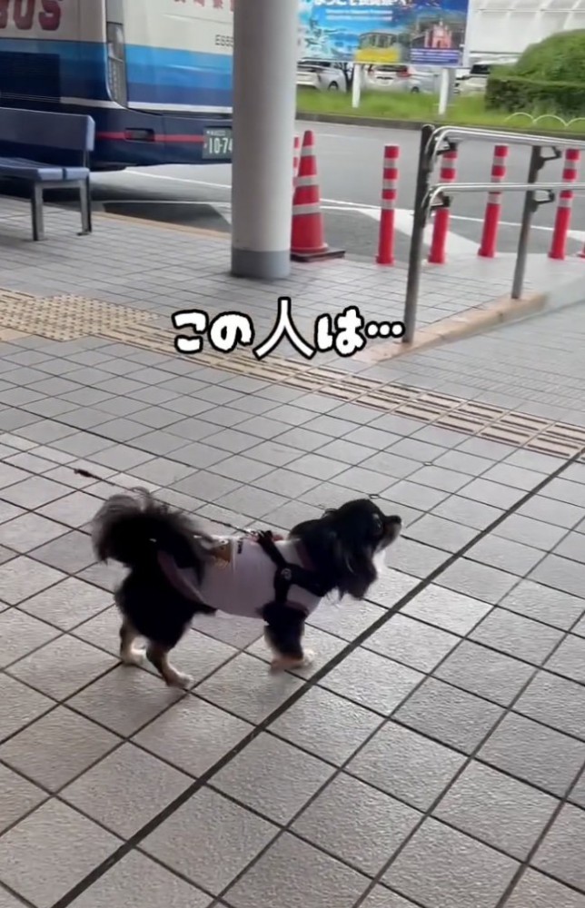 「お兄ちゃん…？？」