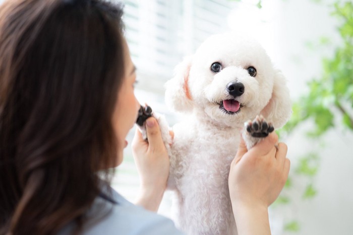 女性と笑顔で遊ぶ犬