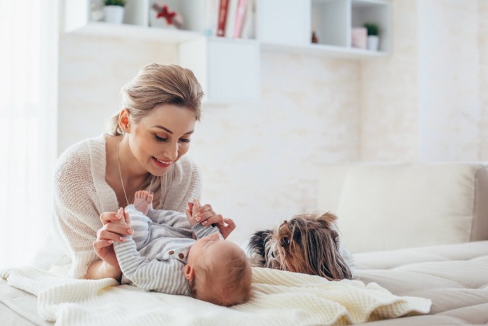 母子と犬