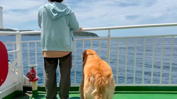 船のデッキから海を見つめる犬と女性