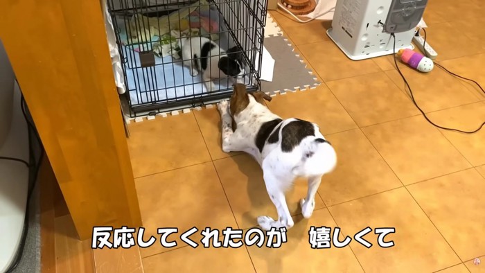 パンナちゃんと仲良しに